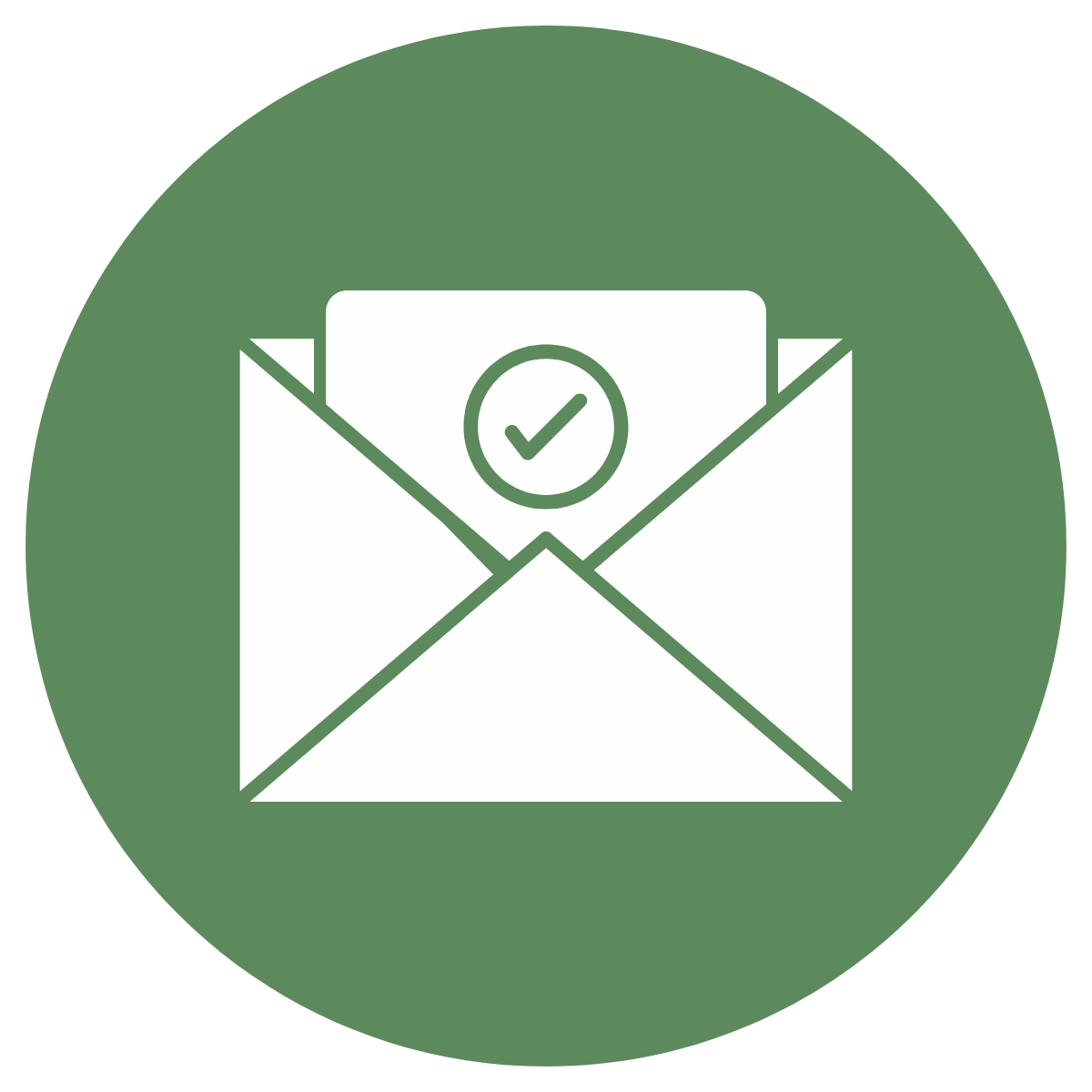 Email Deliverability Audit